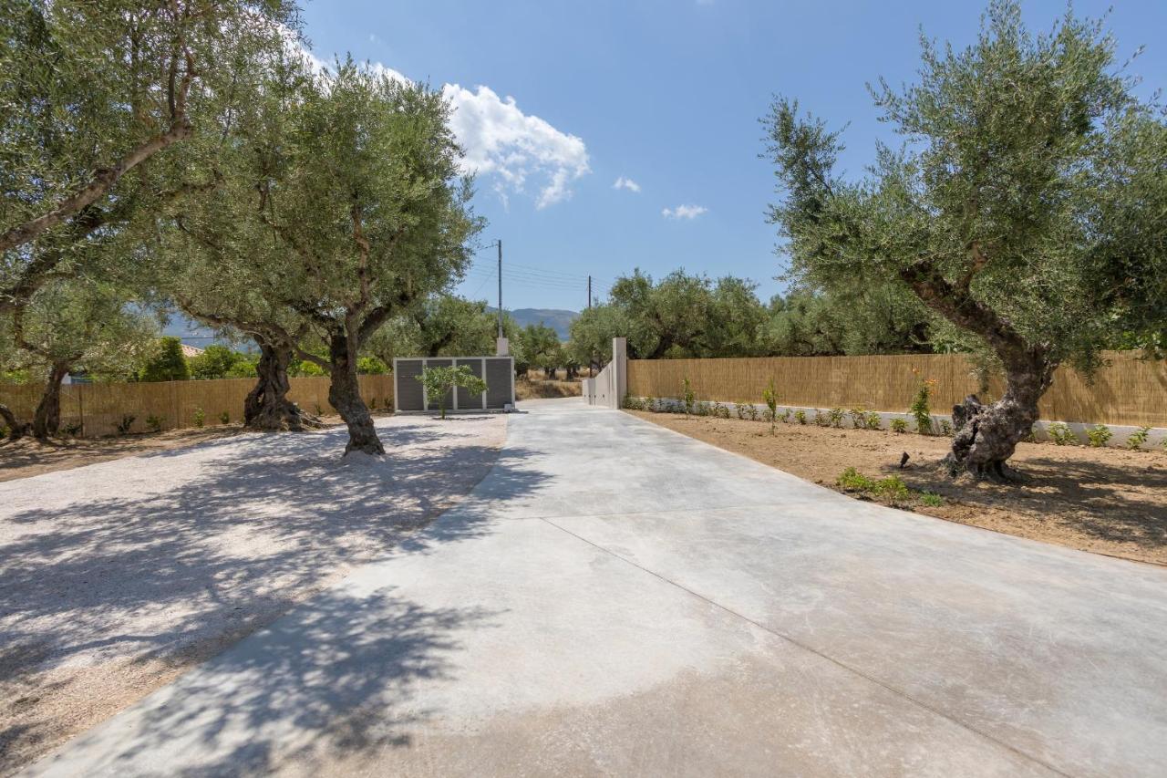 Villa Olivea Kalpaki  Dış mekan fotoğraf