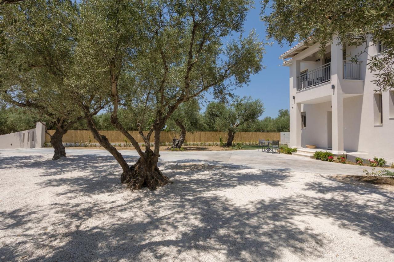 Villa Olivea Kalpaki  Dış mekan fotoğraf