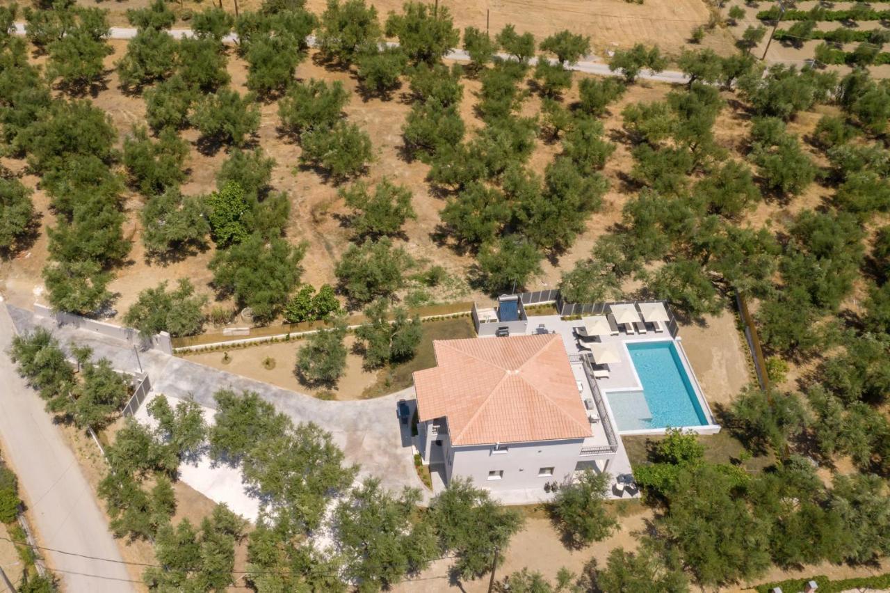 Villa Olivea Kalpaki  Dış mekan fotoğraf